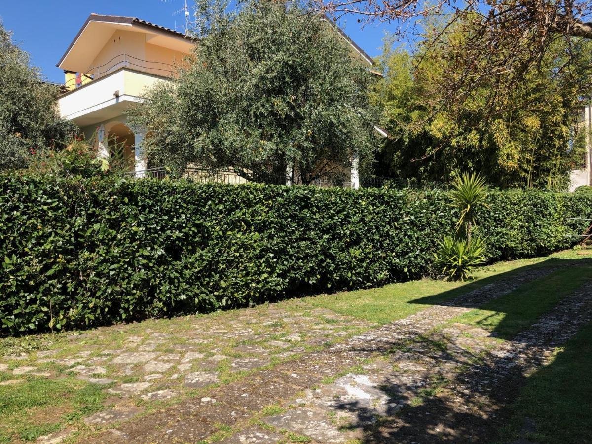 B&B Anna Bolsena Eksteriør bilde