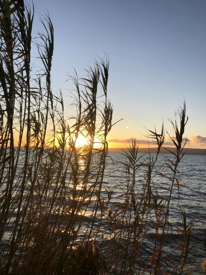 B&B Anna Bolsena Eksteriør bilde